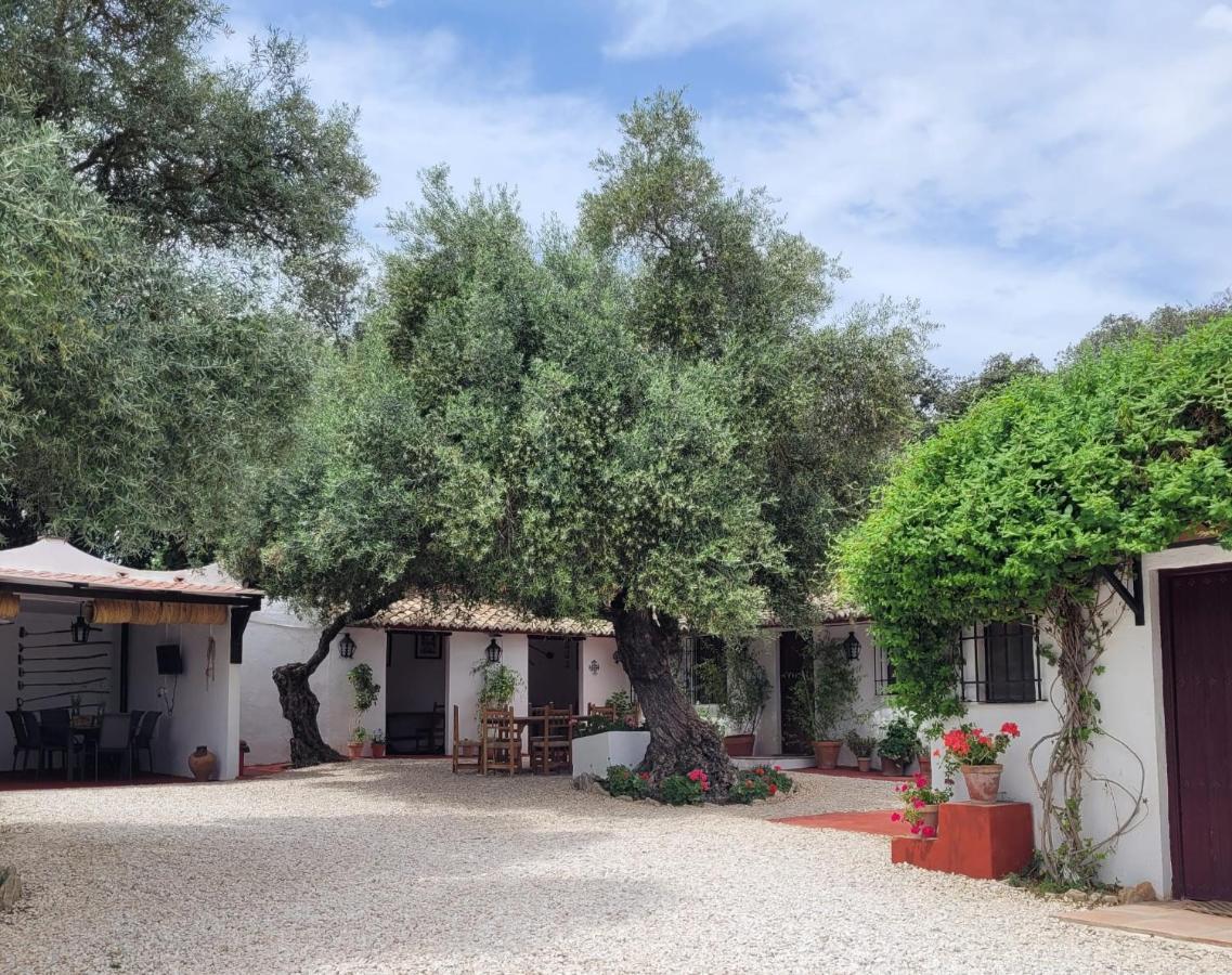 Casa Abanto Villa Ronda Exterior photo